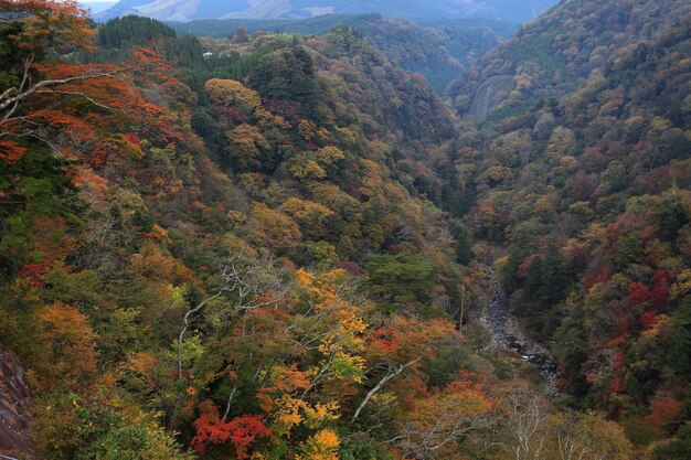 写真 山々 の 景色