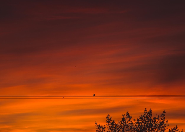 写真 オレンジ色の空の景色