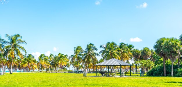 写真 空の背景にある畑のナツメヤシの景色