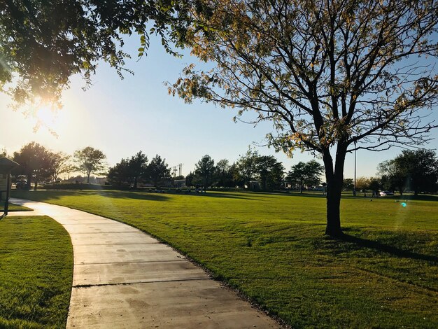 写真 晴れた空を背景に公園の景色