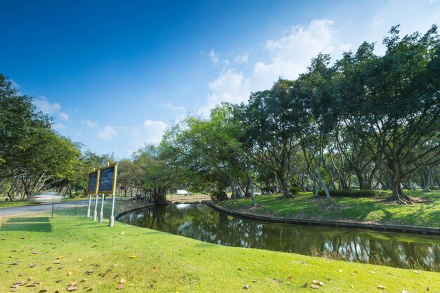 写真 空を背景に湖の近くにある公園の景色