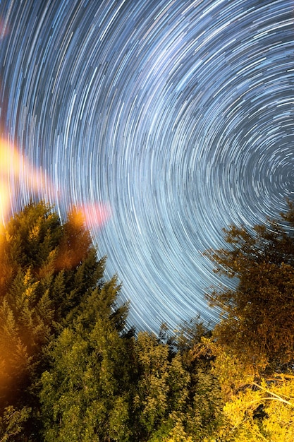 写真 夜空の背景にある植物の風景 - 星のトレイル