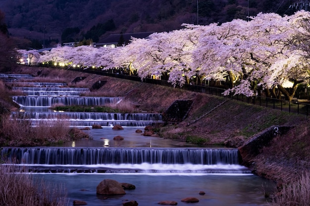 사진 연못 의 풍경