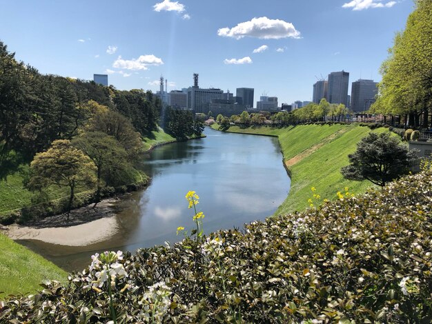 写真 空に照らされた建物の中の川の景色