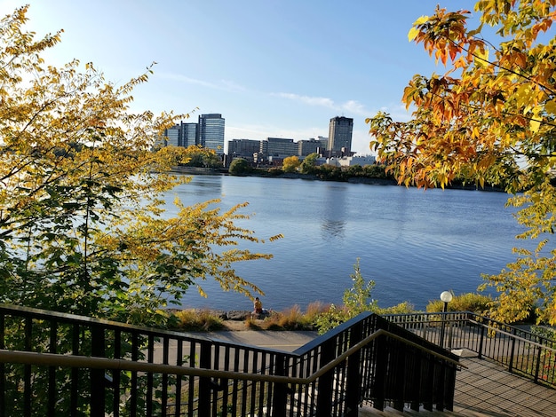 写真 秋の空を背景に建物から見える川の景色