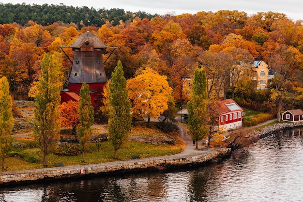사진 가을 에 나무 와 식물 들 에 의해 강 의 풍경적 인 모습