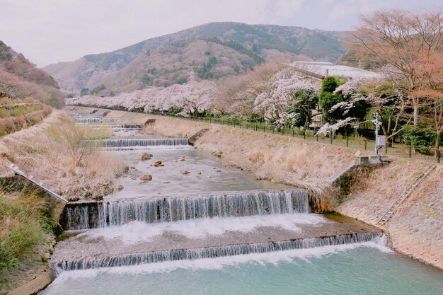 사진 산 을 가로질러 흐르는 강 의 풍경