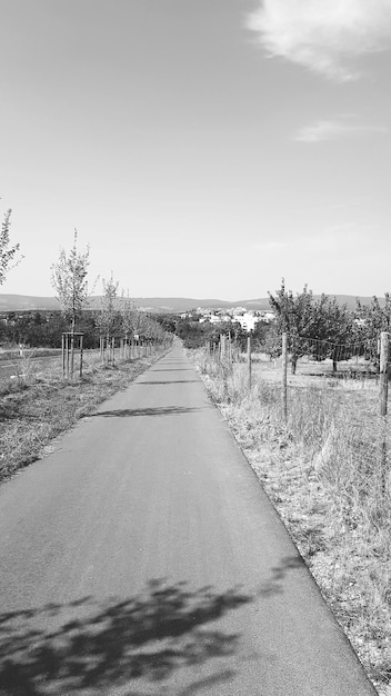 写真 明るい空を背景に野原の中の道路の景色