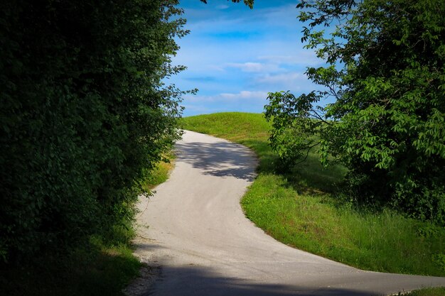 写真 天空を背景に木々の中の道路の景色