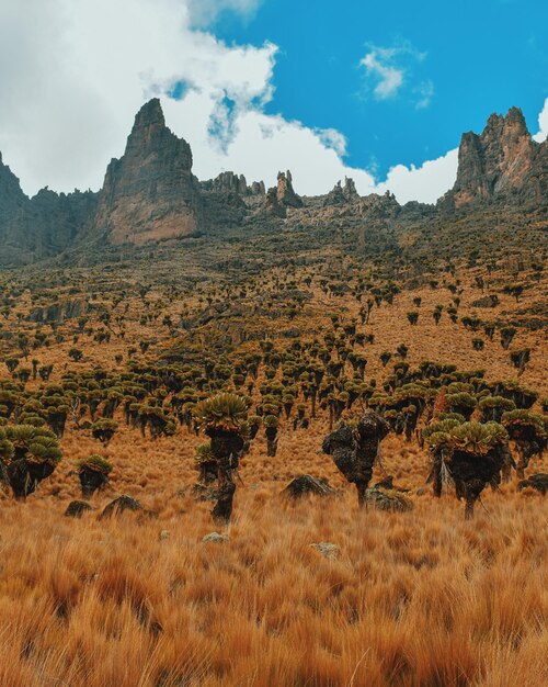Фото Сценический вид на скалистые горы на фоне небесной горы кения кения