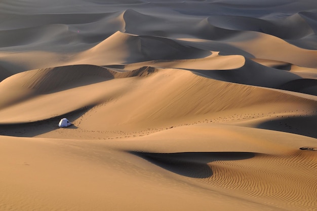Фото Красивый вид на песчаные дюны в пустыне