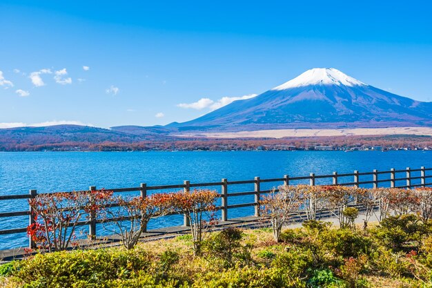 写真 青い空を背景にした海の景色