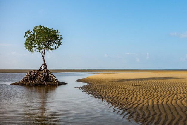 Фото Красивый вид на море на фоне голубого неба