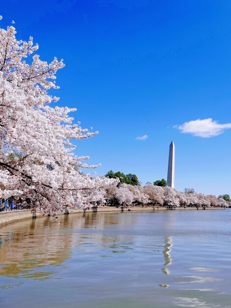 写真 青い空を背景にした海の景色