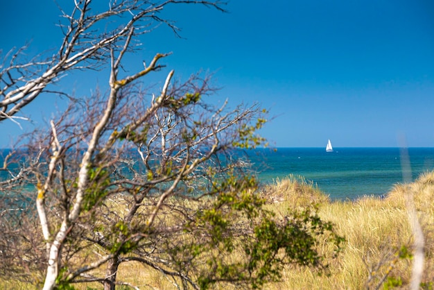 写真 晴れた青い空に照らされた海の景色