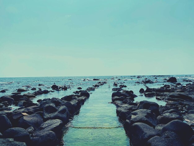 写真 晴れた空に照らされた海の景色