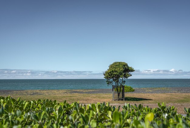 写真 晴れた空に照らされた海の景色