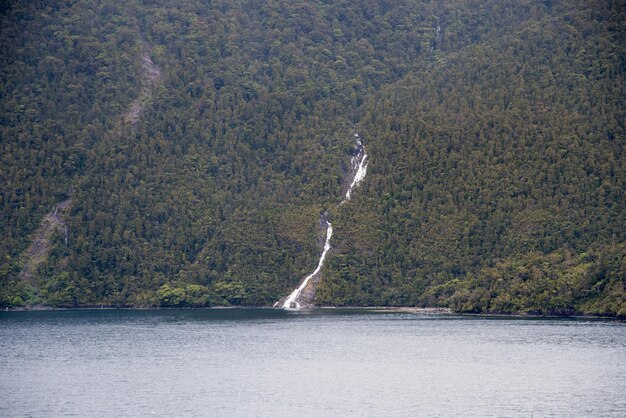 Фото Красивый вид на море на фоне горы в лесу