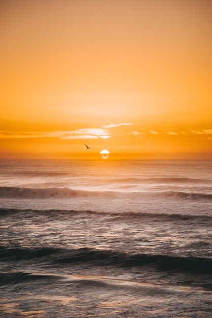 写真 オレンジ色の空を背景に海の景色