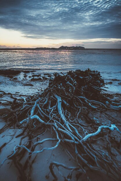 写真 夕暮れ の 時 の 空 に 対し て の 海 の 景色