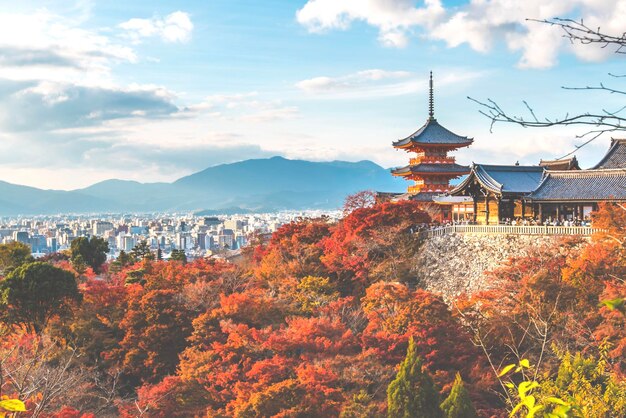 写真 夕暮れの空に照らされた海の景色