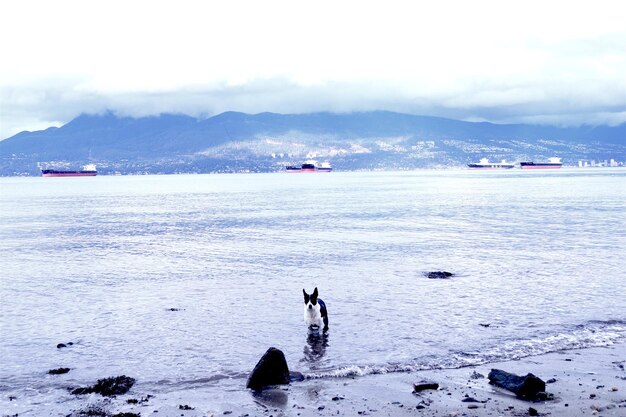 写真 冬の空と対照的に海の景色