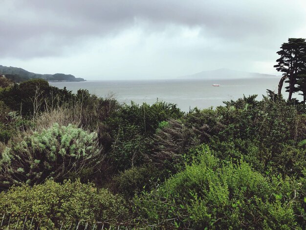 写真 空に照らされた海の景色