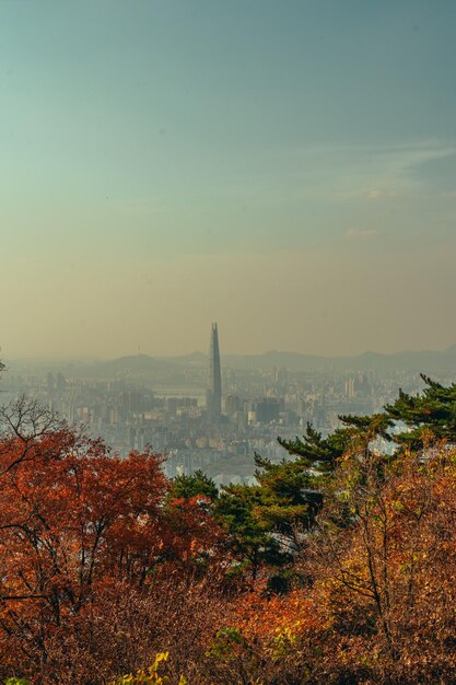 사진 하늘 을 배경 으로 한 바다 의 풍경