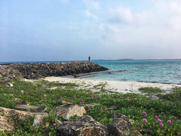 写真 空に照らされた海の景色