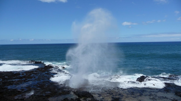 写真 空に照らされた海の景色