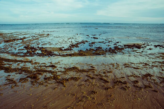 Фото Красивый вид на море на фоне неба