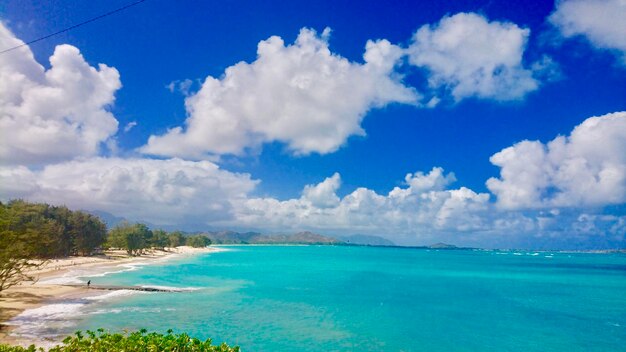 写真 空に照らされた海の景色