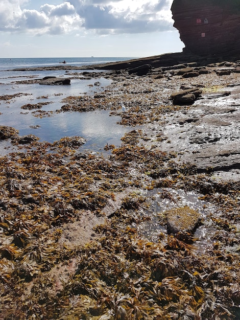 Фото Красивый вид на море на фоне неба