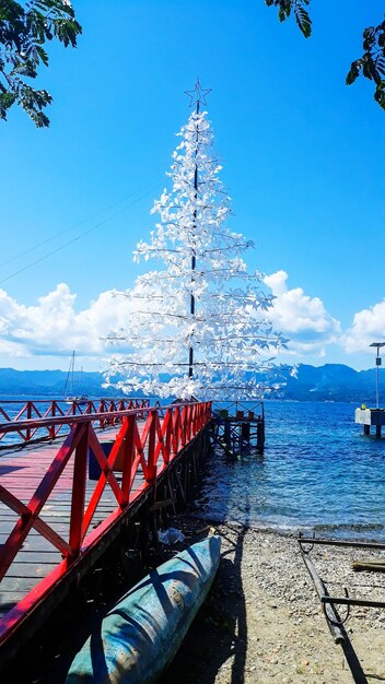 写真 空に照らされた海の景色