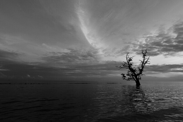 写真 空に照らされた海の景色