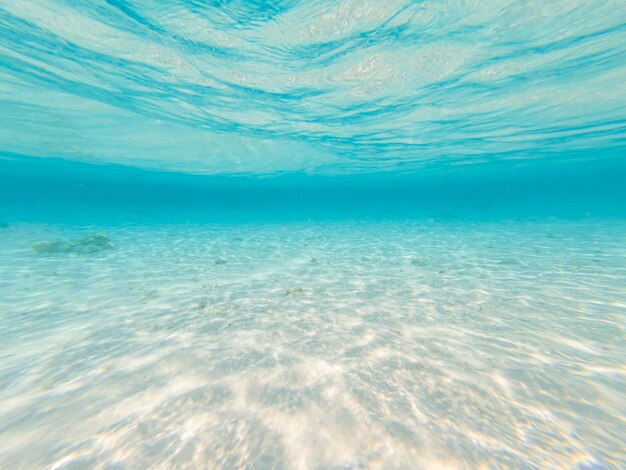 写真 空に照らされた海の景色