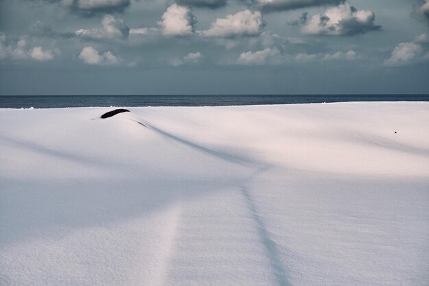 写真 空に照らされた海の景色