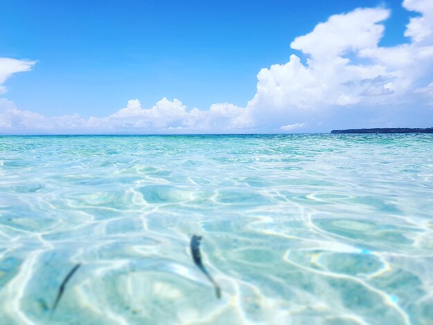 写真 空に照らされた海の景色