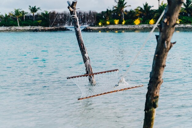 写真 空に照らされた海の景色