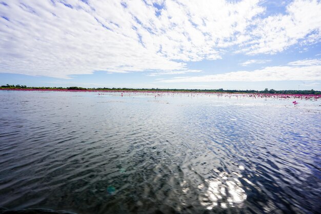 写真 空に照らされた海の景色