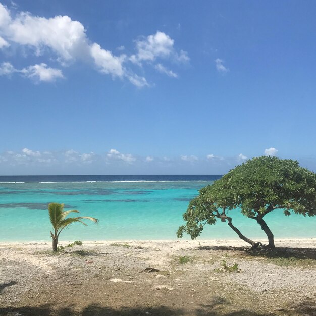 写真 空に照らされた海の景色