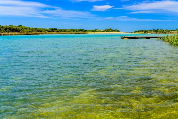 写真 空に照らされた海の景色