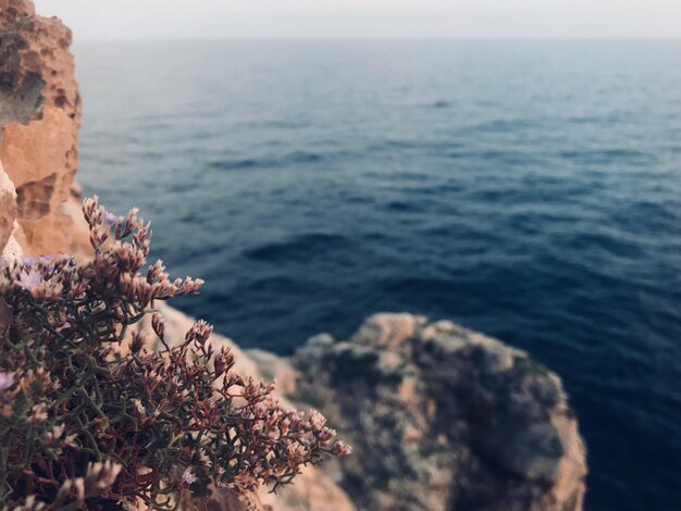 写真 空に照らされた海の景色