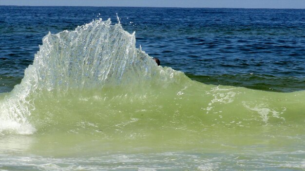 写真 海の景色