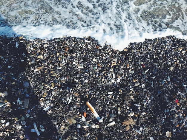 写真 海の景色