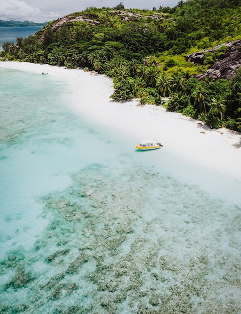 写真 海の景色