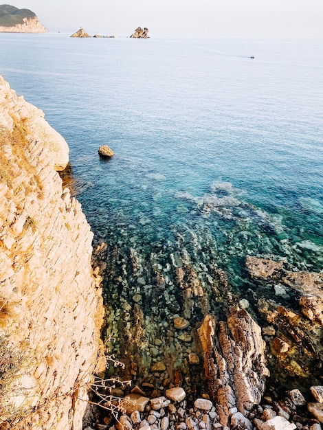 写真 海の景色