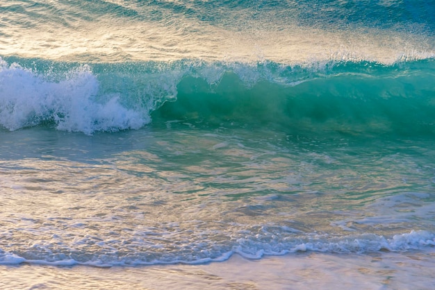 写真 海の景色