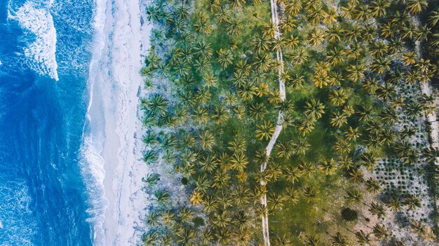 写真 海の景色