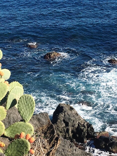 写真 海の景色